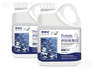 �����~����-ʩ���_