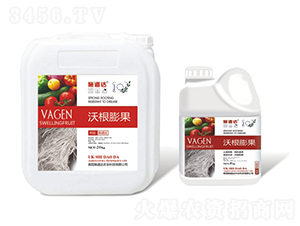 �ָ����-ʩ���_(d��)