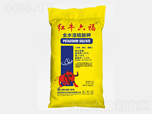 ȫˮ�������-������