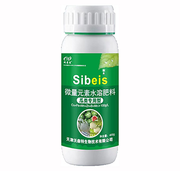 �������΢��Ԫ��ˮ�ܷ���-��ɭ��