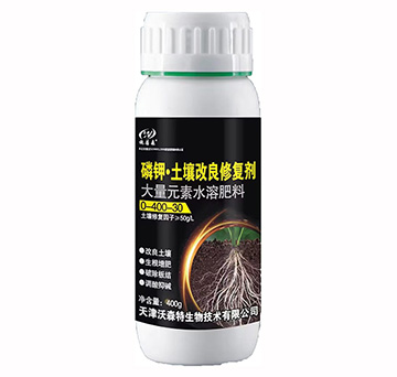 ��⛡����������ޏ�(f��)��-��ɭ��