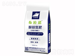 �������-�����Z-�����r(n��ng)�I(y��)