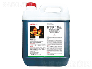 20%���ݿ�����}����Һ����5���-�������-�t̫�����