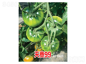 ���l99-���r(n��ng)����(chu��ng)