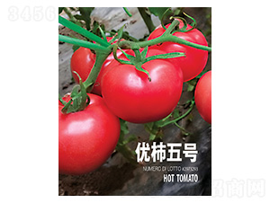 ��(y��u)����̖(h��o)-���r(n��ng)����(chu��ng)