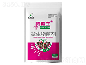 ������΢�������-�K��ӡ��