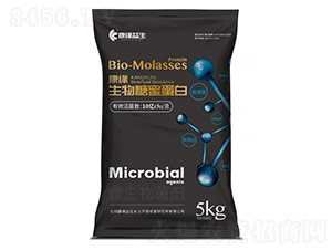 �������۵���-��������