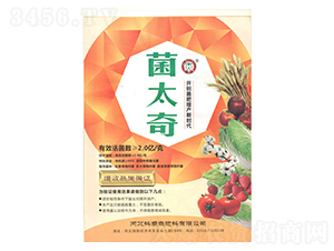 ��̫��-����̩