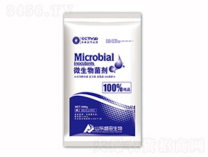 ΢�������-ʢ������