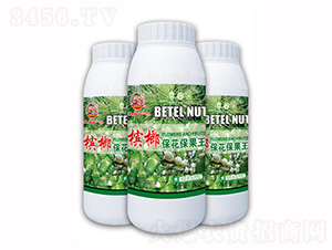 ���Ʊ����o����-ʢ������