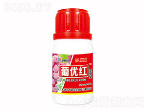 50g��s���σ�(y��u)�t�~���-��(chu��ng)�¿Ƽ�