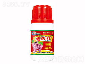 50ml���n�t�~���-��(chu��ng)�¿Ƽ�