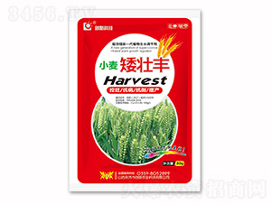 30gС�������S-��(chu��ng)�¿Ƽ�