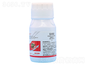 5%ʭ����Ҹ���-��˶�-�P���