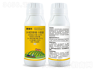 24-���|̦�؃�(n��i)����S-�T����-ِ��ɫ-���S�r(n��ng)�I(y��)