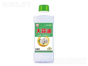 �����͚������x����-���S�@-�̘�����