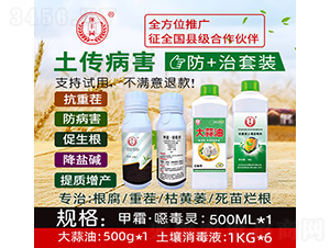 ����������+�����b-���S�@-�̘�����