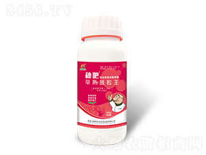 ������������-�i���r(n��ng)�I(y��)