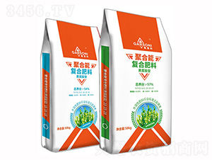 �S�����͏�(f��)�Ϸ���-��ʩ�����ۺ���