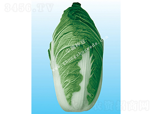 �а�66-�ײ˷N��-���߷N�I(y��)