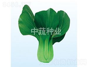 �ľG216-�ײ˷N��-���߷N�I(y��)