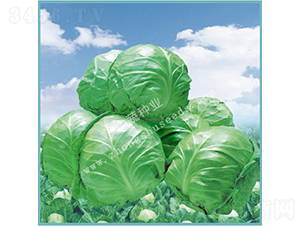 ��Ʒ8398-���{(l��n)�N��-���߷N�I(y��)