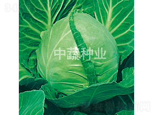 �и�17-���{(l��n)�N��-���߷N�I(y��)