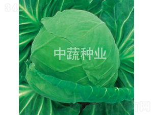 103���{(l��n)-���{(l��n)�N��-���߷N�I(y��)