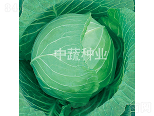 �и�596-���{(l��n)�N��-���߷N�I(y��)