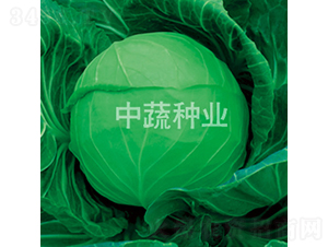 �и�192-���{(l��n)�N��-���߷N�I(y��)