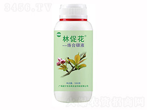 �ִٻ�-ҫѸ�w�r(n��ng)�I(y��)