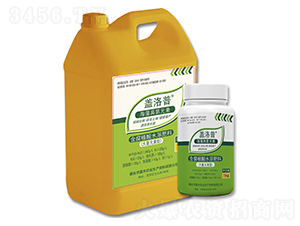 ����ߵ�Ԫ�غ���ֲ��ˮ�ܷ���-�w����-�κ��r�I(y��)