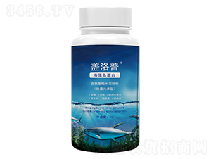 �����~����-�w����-�κ��r�I(y��)