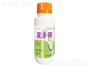 ���ǡ��-����һ̖-���r(n��ng)������