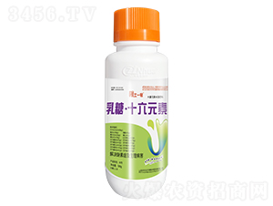 ���ǡ�ʮ��Ԫ��-����һ̖-���r(n��ng)������