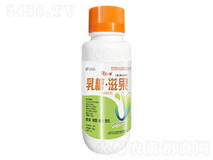 ���ǡ��̹�-����һ̖-���r(n��ng)������