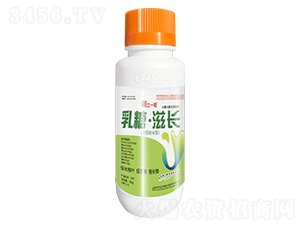 ���ǡ����L-����һ̖-���r(n��ng)������