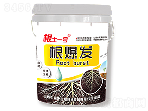 �����l(f��)-����һ̖-���r(n��ng)������