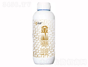 ����ߵ�-��N-��������