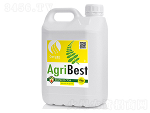 ���E������̖(h��o)-���ο��Է۽�-�����m��