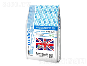 Ӣ��UK-Cardiff���î�1̖ˮ�ܷ���19-19-19+TE-���Ϸ� 