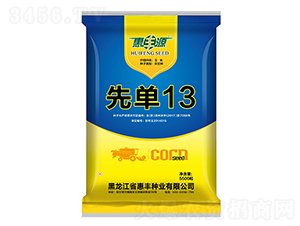 �Ȇ�13-���׷N��-���SԴ