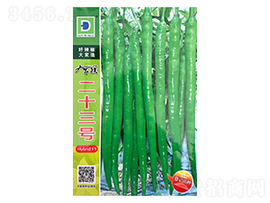 ������ʮ��̖-�����N��-�����N�I(y��)