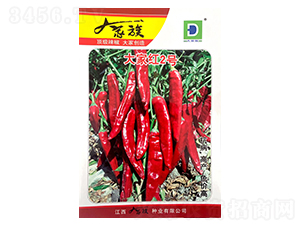 ��Ҽt2̖-�����N��-�����N�I(y��)