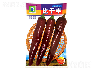 �ȸ��S-�����N��-�����N�I(y��)