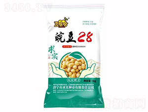 �28-������-��(sh��)�N�I(y��)