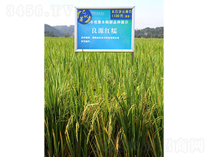 ��ԭ�tŴ-ˮ���N��-��ɫ�r(n��ng)�S