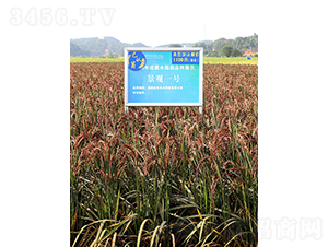 ���^һ̖-ˮ���N��-��ɫ�r(n��ng)�S