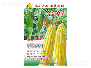 �_��������-���׷N��-���r(n��ng)�I(y��)