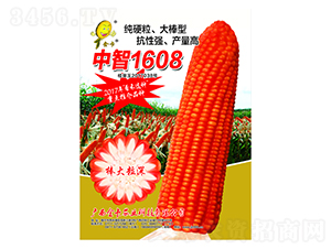 ����1608-���׷N��-���r(n��ng)�I(y��)